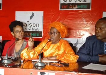 Violences sexuelles en Guinée : ce que les ONG suggèrent aux autorités