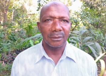 Société: Immersion dans le monde des fleuristes qui exercent  le métier avec passion et courage 