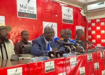 Dr Faya Millimono sur le projet Simandou 20240:«nous sommes de ceux qui sont fatigués de voir la terre rouge de bauxite prise le long de la côte pour aller ailleurs…»