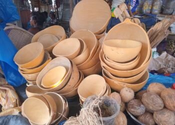Société: Immersion dans le monde des vendeuses de calebasses 