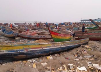 Pêche artisanale : Les pêcheurs du port de Bonfi expriment leurs préoccupations face à des conditions de travail difficiles