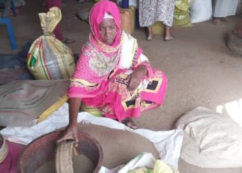 Agriculture : Attahoulaye Diallo, Président de l&rsquo;Union des Agriculteurs de Doguel Siguon, Évoque les Difficultés Rencontrées par les Producteurs Locaux.