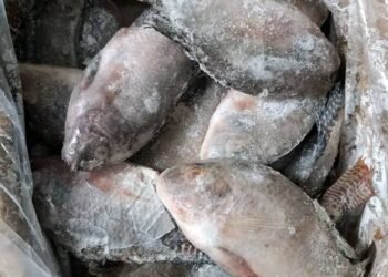 Kankan : Les commerçantes du marché « Dibida » demandent une réduction des prix des cartons de poissons et autres denrées essentielles.