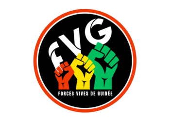 Les Forces Vives de Guinée rejettent l’évaluation des partis politiques par le MATD