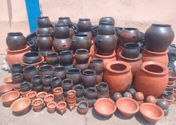 Société : Plongée dans l’univers des commerçants de canaris