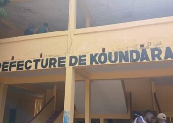 Koundara : Fin de cavale pour Alpha Oumar Diallo, suspect principal dans le détournement de 335 millions GNF.