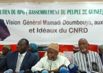 RPG : Mamadi Doumbouya à la tête du parti ? « Si tel est son souhait, cela est possible », affirme Mbany Sangaré.
