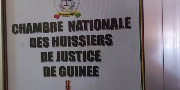 Suspension des activités : La CNHJG exprime sa solidarité avec le barreau guinéen après l’enlèvement de Me Mohamed Traoré