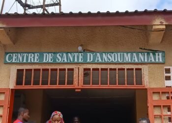 Drame à Dubréka : Une femme souffrant de troubles mentaux électrocutée à Ansoumania Plateau.