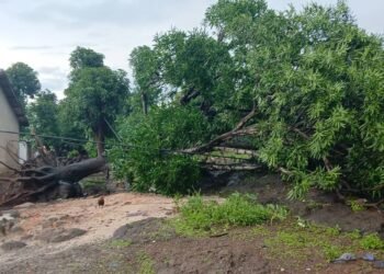 Kagbelen : De violents vents causent d’importants dégâts à Kakiwondy