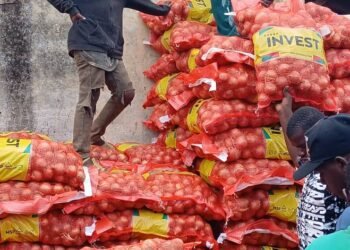 Kankan : Hausse du prix de l’oignon sur les marchés de la commune urbaine