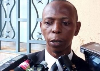 Vulgarisation du projet de nouvelle Constitution : Kaly Diallo critique la démarche pédagogique. 