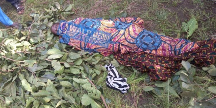 Tragédie à Tomba-Kansa : Une adolescente meurt noyée en tentant de traverser un pont.