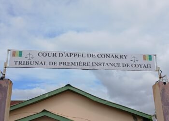 Justice : Le parquet requiert un an de prison, dont six mois avec sursis, contre l&rsquo;artiste Singleton.