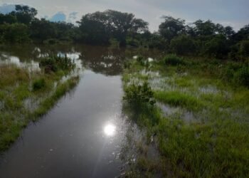 Siguiri : Deux enfants tragiquement emportés par une noyade à Tiguibiri.   
