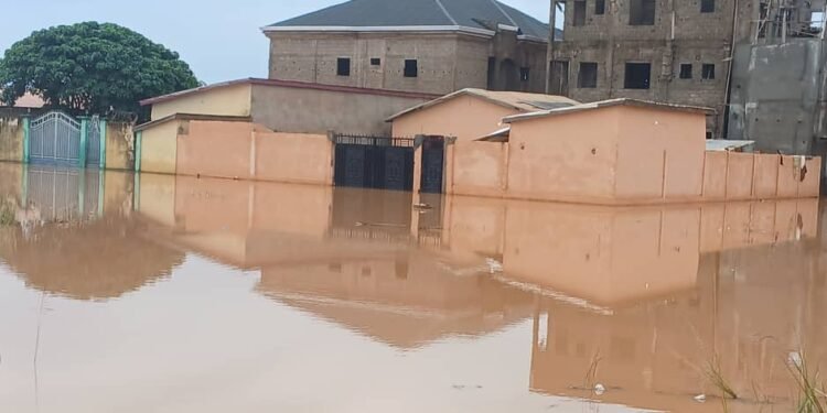 Kankan : des familles sinistrées par une inondation au quartier Madina.   