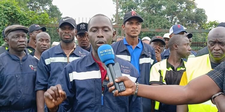 Guinée : Les travailleurs de la CBK entament une grève illimitée pour le respect de leurs droits
