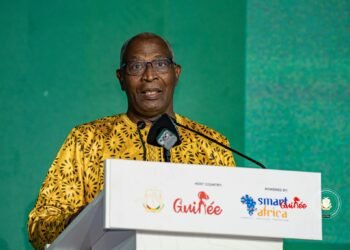 Conakry : la décharge de Dar-es-Salam va disparaître au profit d’un parc urbain