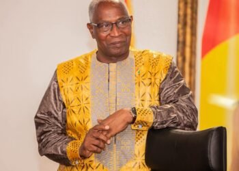 Le Premier ministre appelle à une transition graduelle vers la stabilité en Guinée