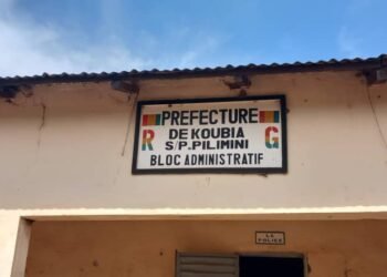 Tragédie à Koubia : Un Fils Tue Sa Mère à Pilimini, Sous l&rsquo;Emprise de Stupéfiants   