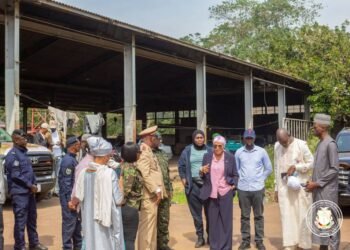 𝗜𝗻𝗱𝘂𝘀𝘁𝗿𝗶𝗲 𝗣𝗠𝗘: 𝗥𝗲𝗹𝗮𝗻𝗰𝗲 𝗶𝗻𝗱𝘂𝘀𝘁𝗿𝗶𝗲𝗹𝗹𝗲 : 𝗩𝗮𝗹𝗼𝗿𝗶𝘀𝗮𝘁𝗶𝗼𝗻 𝗱𝘂 𝘀𝗶𝘁𝗲 𝗱𝗲 𝗹’𝗮𝗻𝗰𝗶𝗲𝗻𝗻𝗲 𝗨𝗦𝗢𝗔 𝗱𝗲 𝗠𝗮𝗺𝗼𝘂