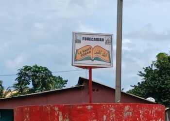 Drame à Tassin, Forécariah : Une Guinéenne et un enfant perdent la vie en tentant de rejoindre la Guinée via la mer.   