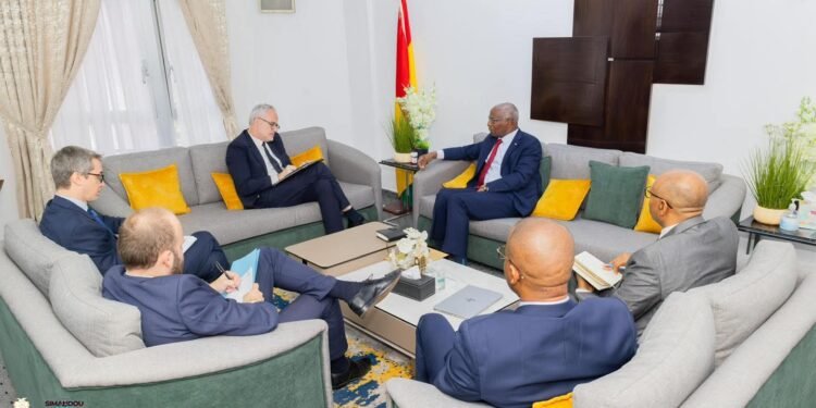 COOPÉRATION GUINÉE-FRANCE : VERS UN PARTENARIAT STRATÉGIQUE RENFORCÉ AU SERVICE DE SIMANDOU 2040