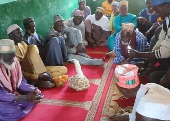 Mariage de Néné Goto et Aïcha Keïta : Une Union Artistique pour le Meilleur.   