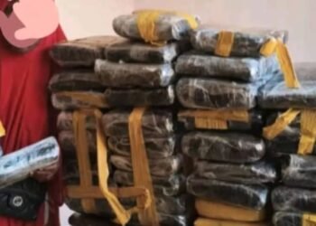 Mandiana : Saisie d’une importante quantité de chanvre indien à Hérémako.