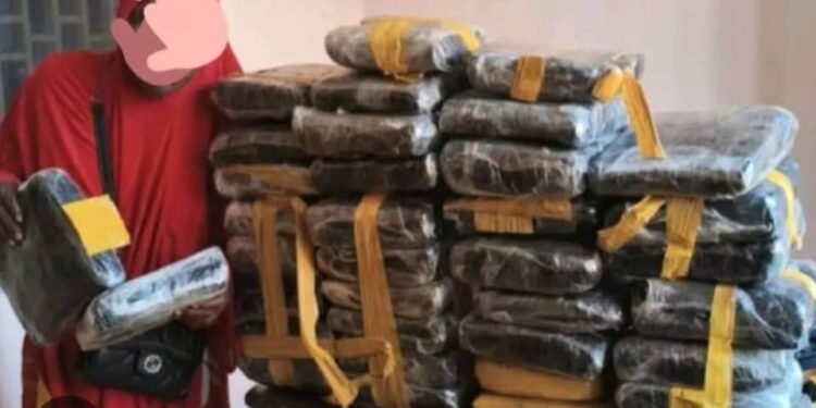 Mandiana : Saisie d’une importante quantité de chanvre indien à Hérémako.
