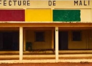 Mali : Confondue avec un singe, une femme tuée par balle à Doghol.   
