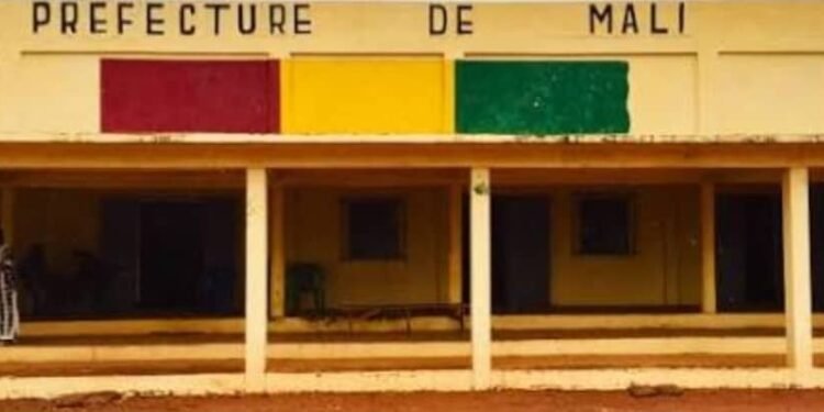 Mali : Confondue avec un singe, une femme tuée par balle à Doghol.   