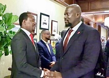 Spéculations sur la santé du Président Mamadi Doumbouya : le Conseiller personnel du Chef de l’Etat rassure …