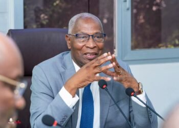 INVESTISSEMENTS ET PROJETS STRUCTURANTS : LE PREMIER MINISTRE ÉCHANGE AVEC LE GROUPE SCHIBA