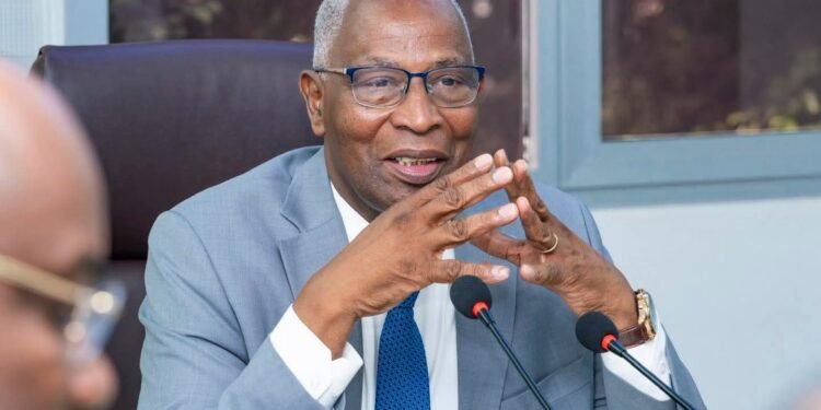 INVESTISSEMENTS ET PROJETS STRUCTURANTS : LE PREMIER MINISTRE ÉCHANGE AVEC LE GROUPE SCHIBA