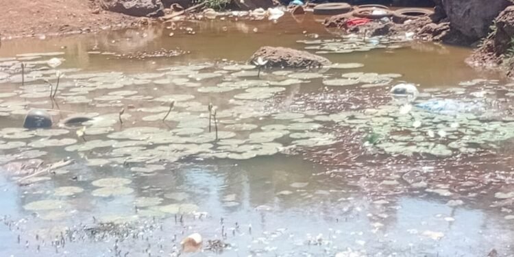 Boké : le fleuve Samayabhé menacé par les activités humaines, des citoyens tirent la sonnette d’alarme.   