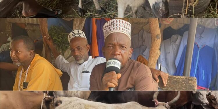 Fête del’EidEl-Fitr : les vendeurs de bœufs entre crise de liquidité et flambée des prix du bétail.