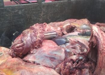 Dabola : la flambée du prix de la viande complique les préparatifs de l’Aïd el-Fitr.   