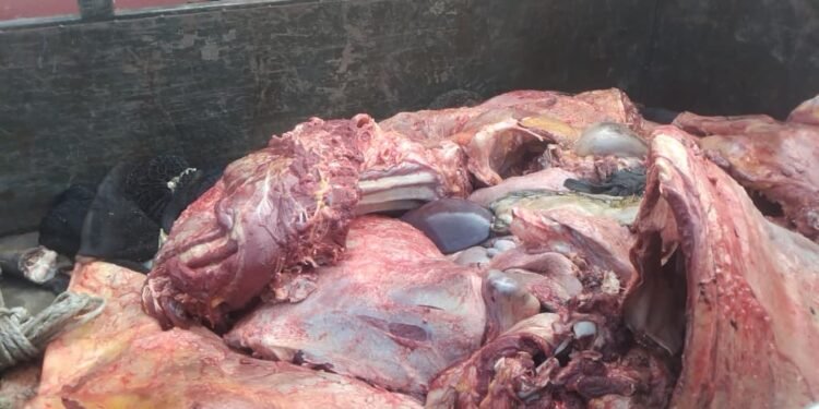 Dabola : la flambée du prix de la viande complique les préparatifs de l’Aïd el-Fitr.   