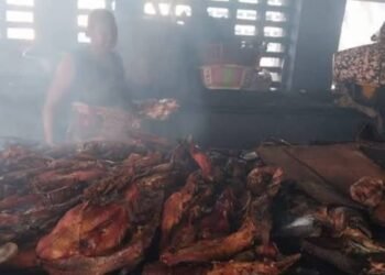 Fumage de poissons à Conakry : entre difficultés et faibles revenus, le calvaire des femmes.   