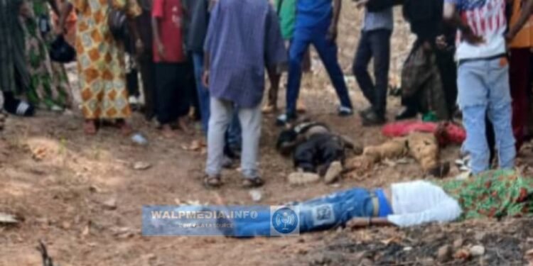 Coyah : un mort et plusieurs blessés graves dans un accident de la circulation à Boboya.   