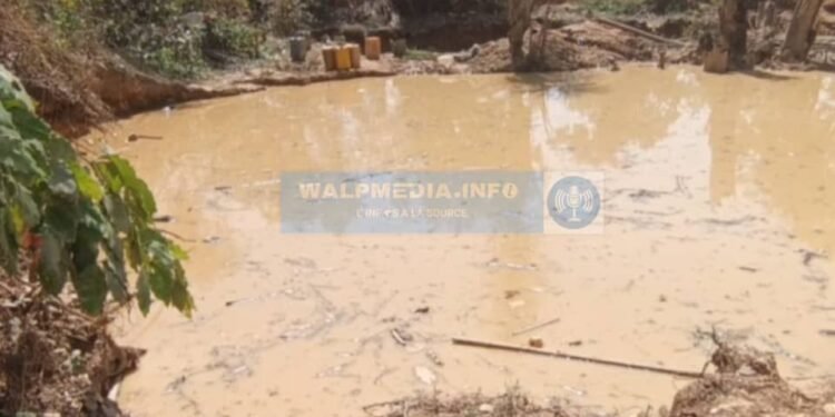 Siguiri : à Balato, la rivière Kourouda en péril face à l’orpaillage, des habitants dénoncent des complicités locales.