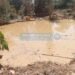 Siguiri : à Balato, la rivière Kourouda en péril face à l’orpaillage, des habitants dénoncent des complicités locales.