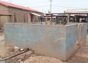 Siguiri : à Lenkèkoro Kignèba, la pénurie d’eau potable alarme les habitants.