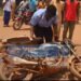 Mandiana : un blessé dans un accident de la circulation, l’excès de vitesse pointé du doigt.
