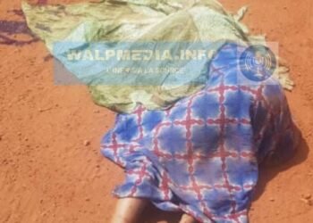 Mandiana : une mère de 25 ans perd la vie dans un accident à Dialakoro.