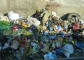 Gestion des déchets en Guinée : un défi environnemental et sanitaire majeur