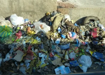 Gestion des déchets en Guinée : un défi environnemental et sanitaire majeur