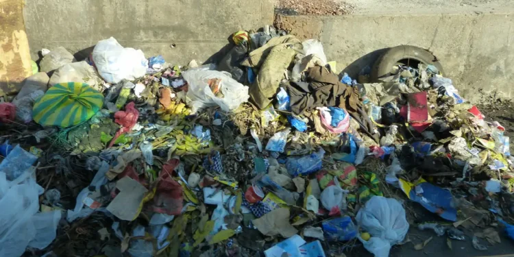 Gestion des déchets en Guinée : un défi environnemental et sanitaire majeur