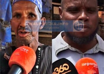 Préparatifs de la Tabaski : immersion chez les vendeurs de bétail à Dombi, dans la préfecture de Labé